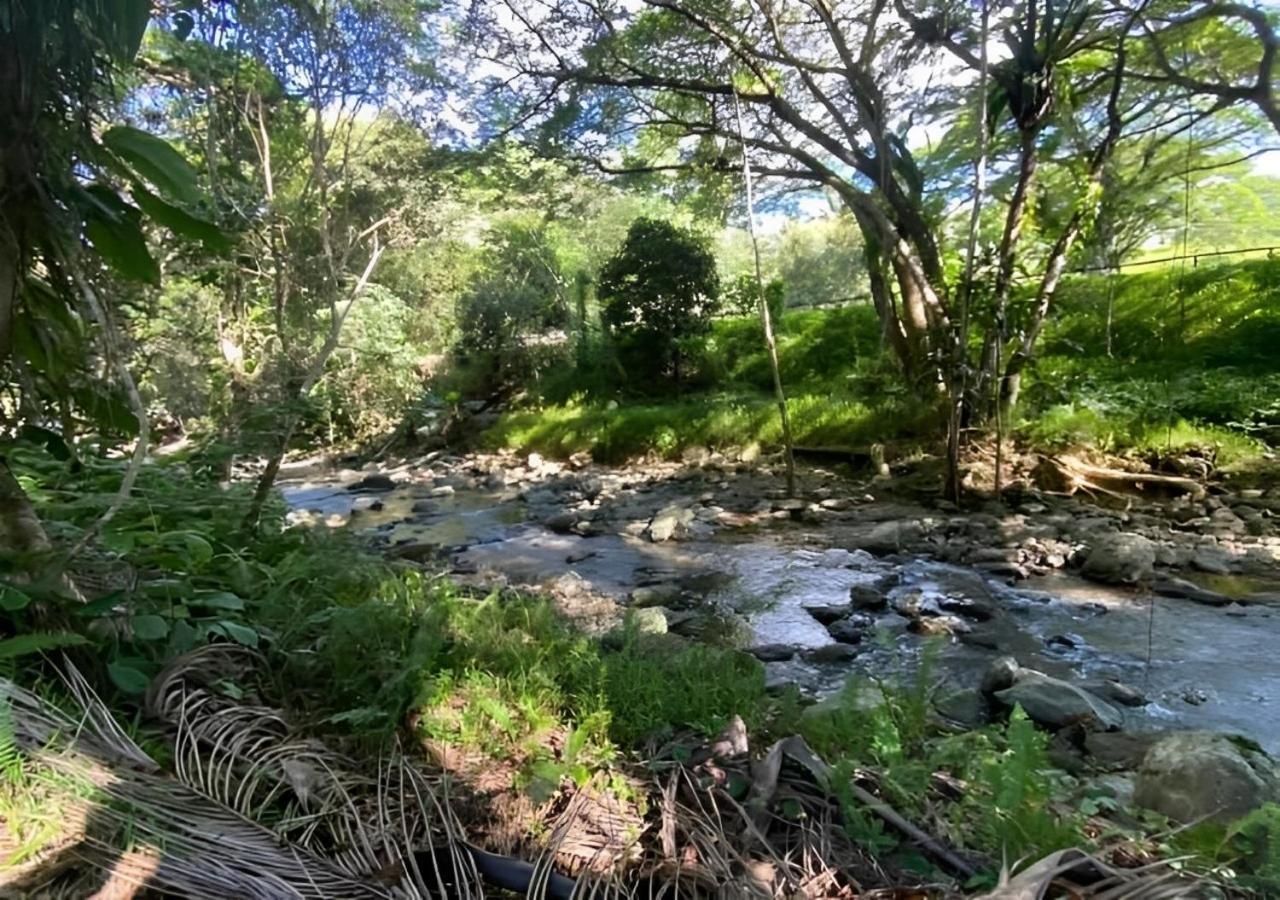 Evasion Bungalow Tropical Spa Sarraméa 외부 사진