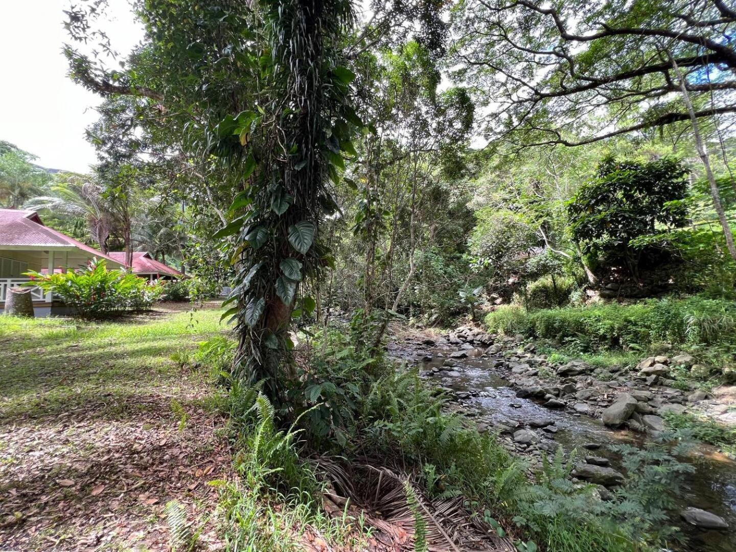 Evasion Bungalow Tropical Spa Sarraméa 외부 사진