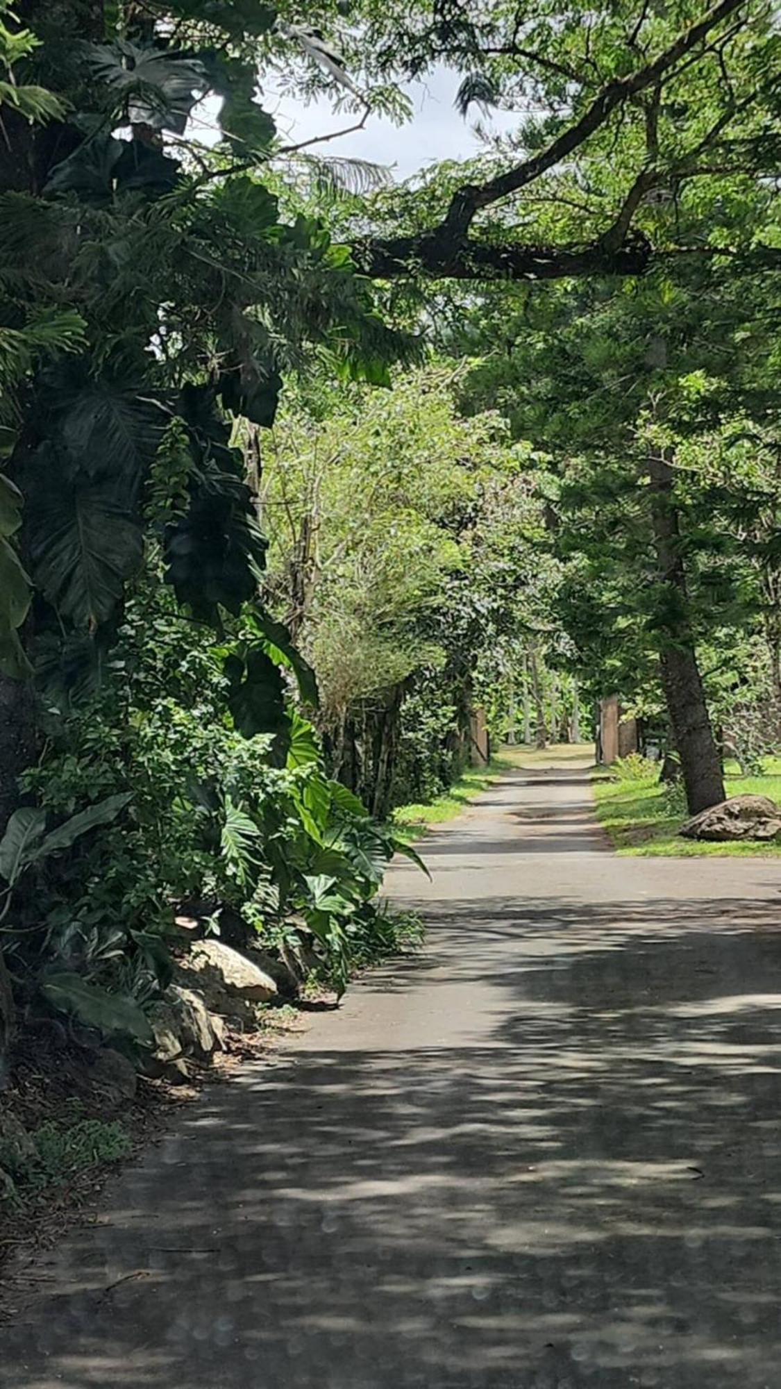 Evasion Bungalow Tropical Spa Sarraméa 외부 사진