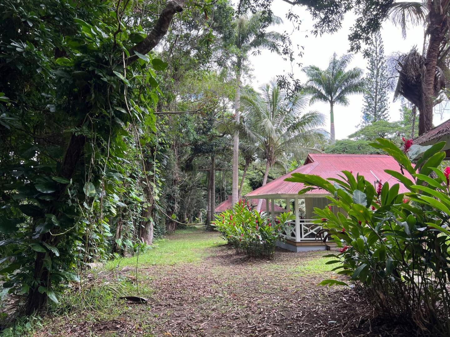 Evasion Bungalow Tropical Spa Sarraméa 외부 사진